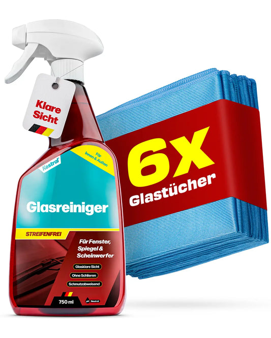 Auto Glasreiniger Set